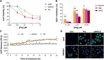 HSA-nanobinders crafted from bioresponsive prodrugs for combined cancer chemoimmunotherapy–an in vitro exploration